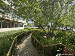 按照白叟身体情况动态调整护